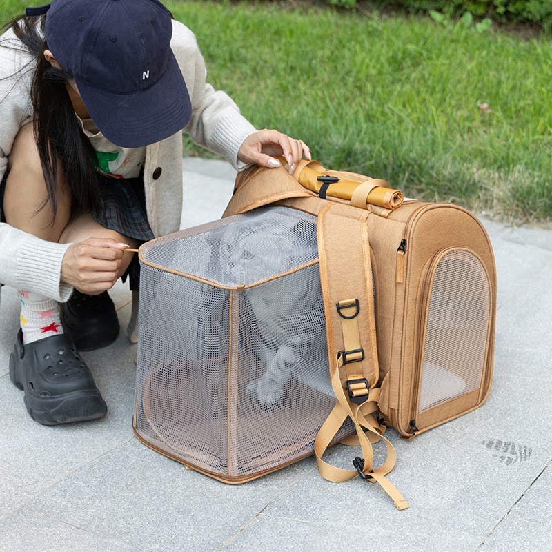 Portable cat bag, expandable l - Foldable Backpack Small review and price