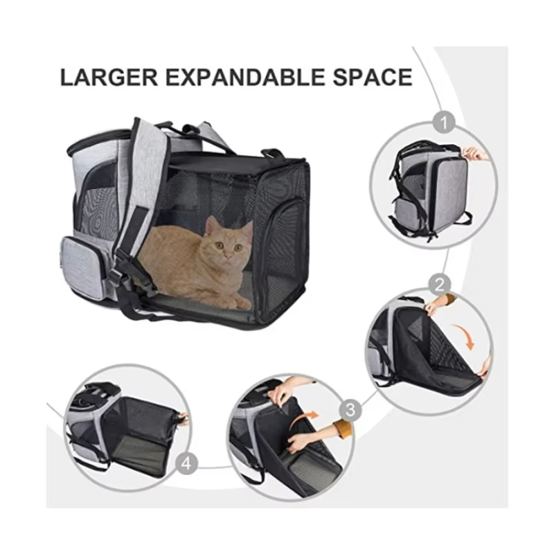Cat Bag Outdoor Portable Cat B - Foldable Backpack Small review and price